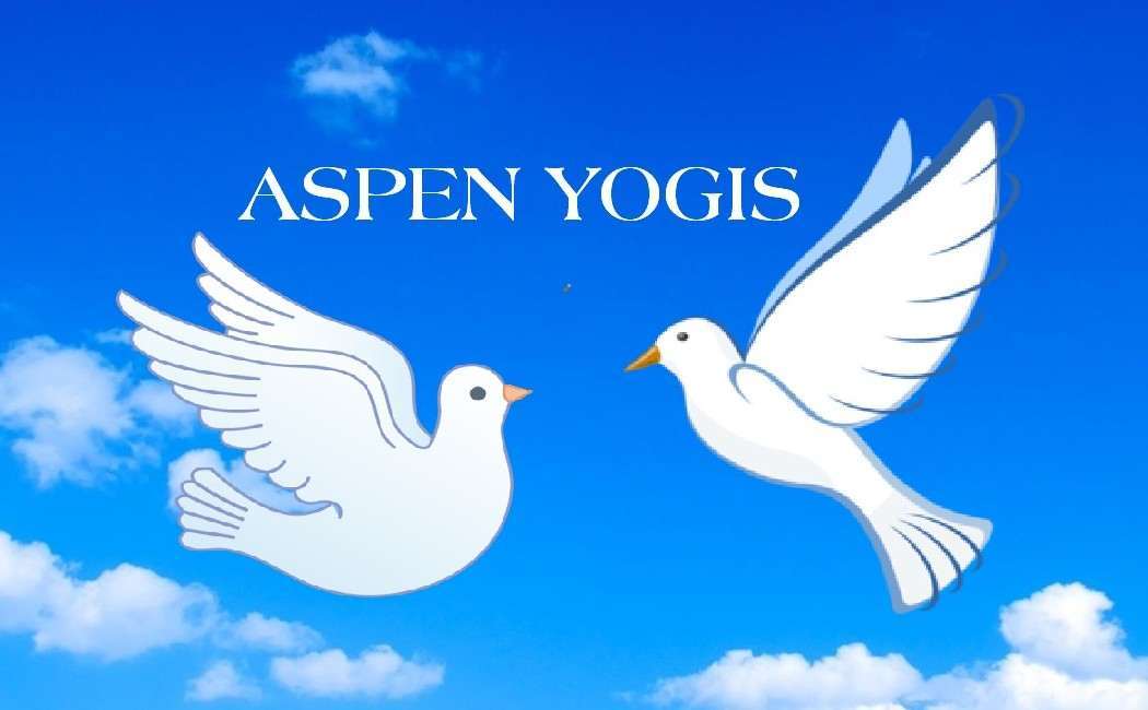 Aspen Yogis